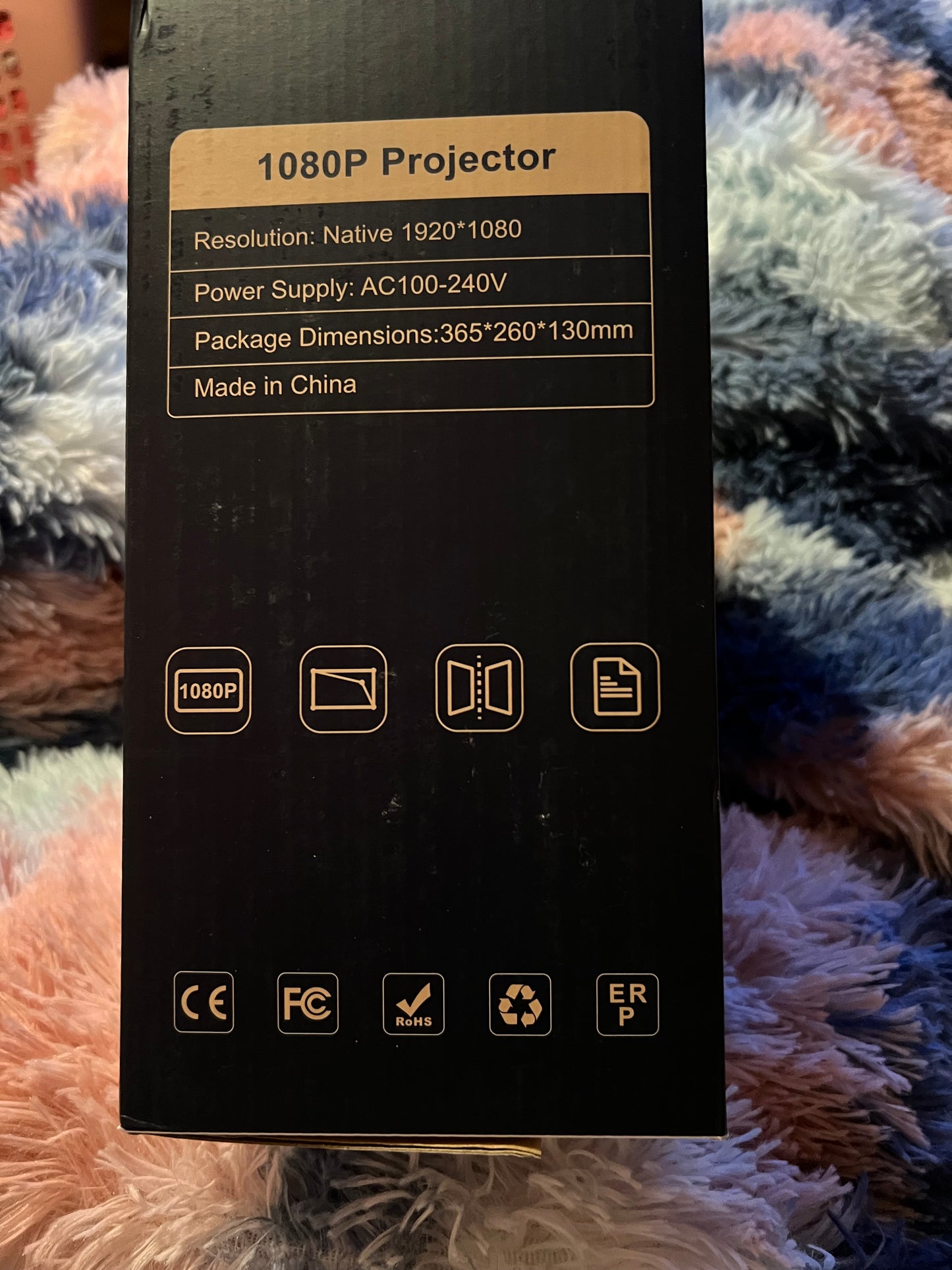 Projector