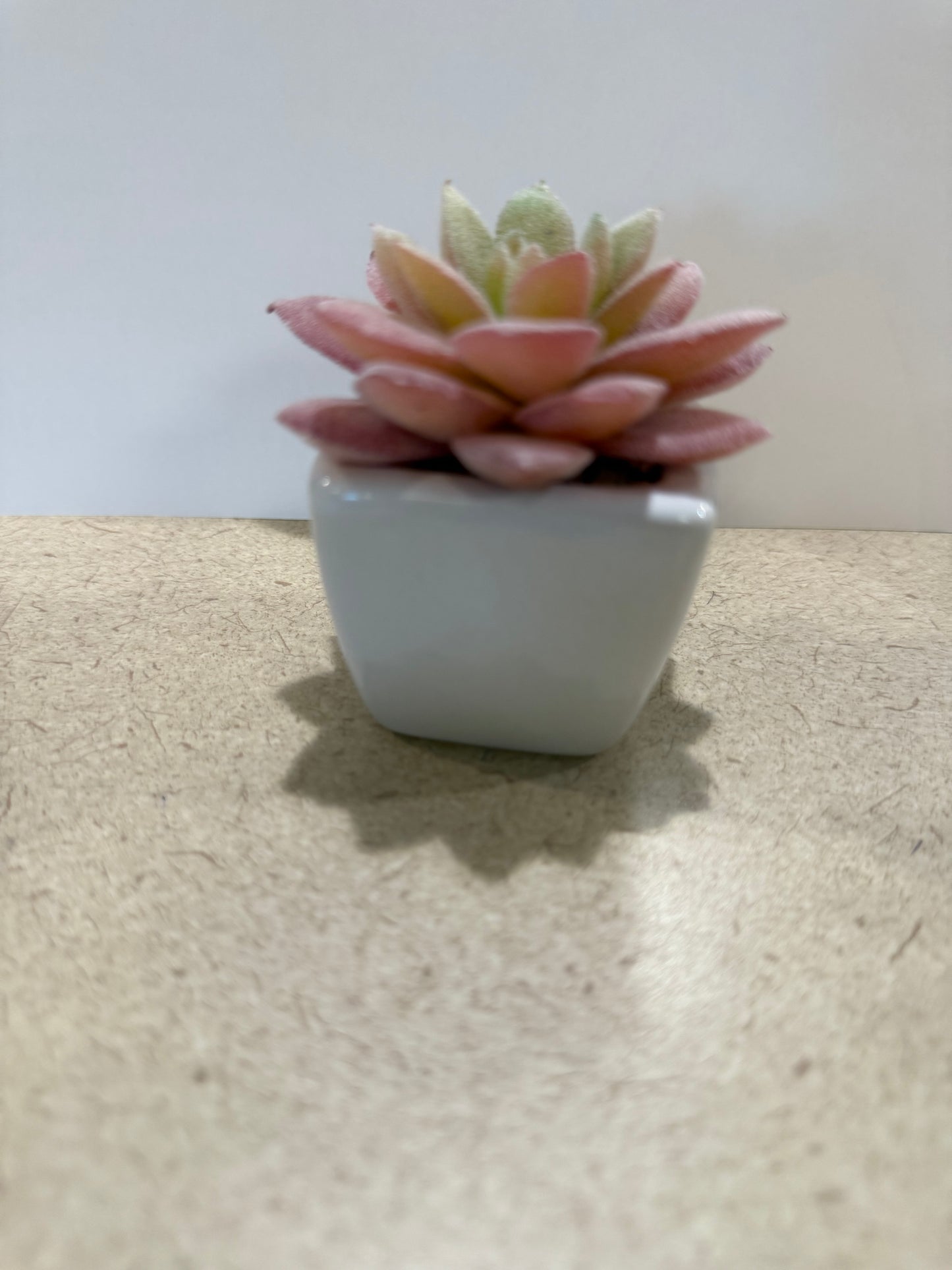 Small artificial plants