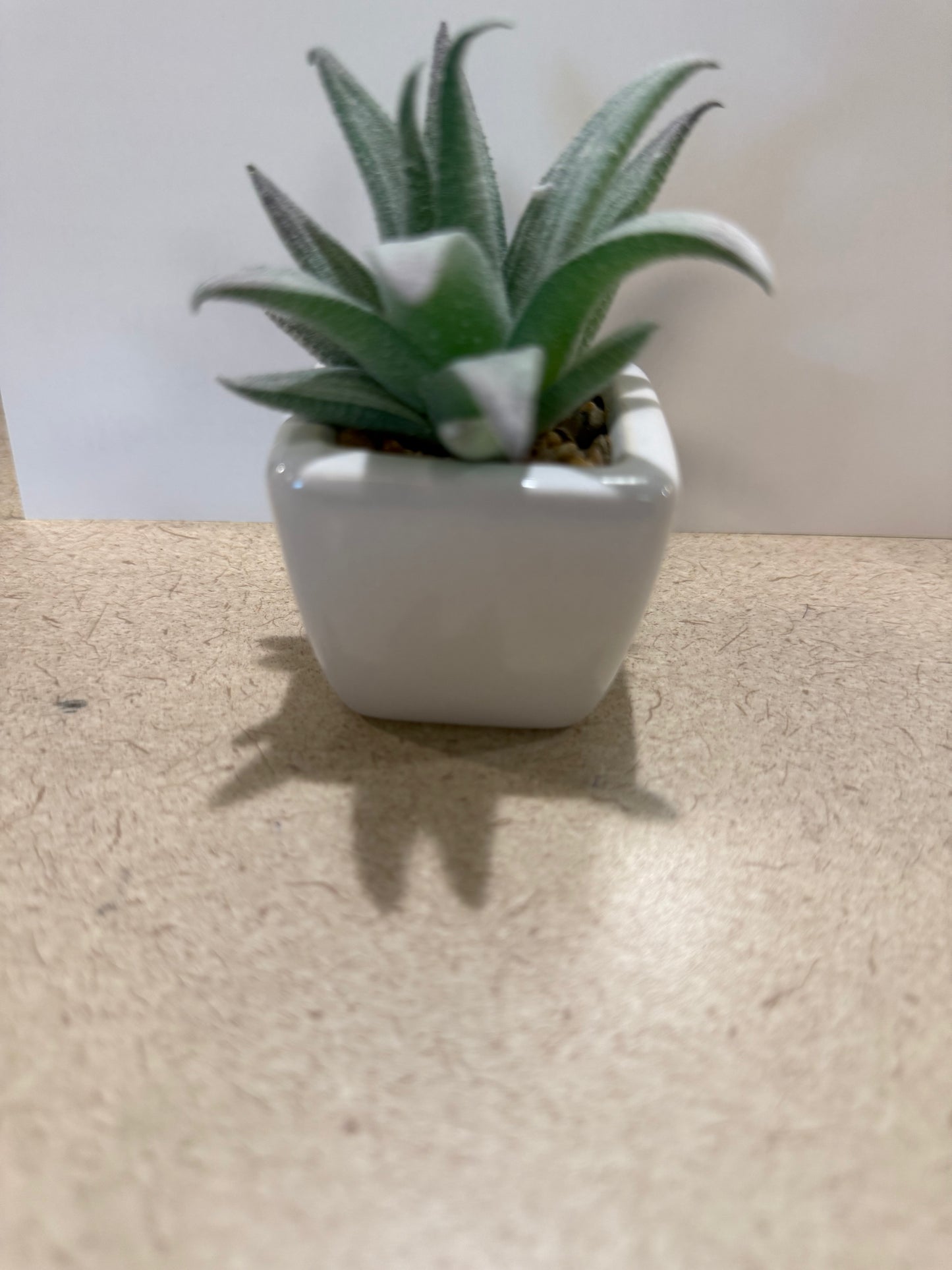 Small artificial plants