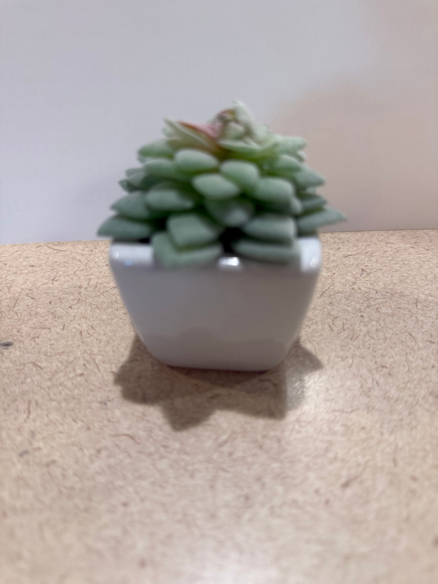 Small artificial plants