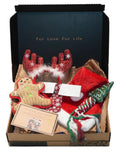Pet Christmas box