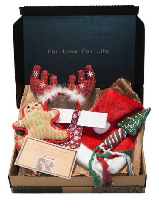Pet Christmas box