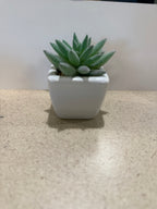 Small artificial plants