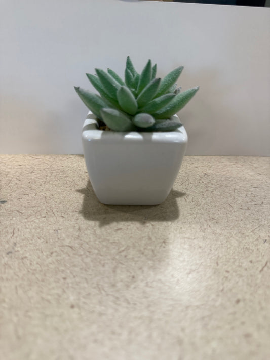 Small artificial plants