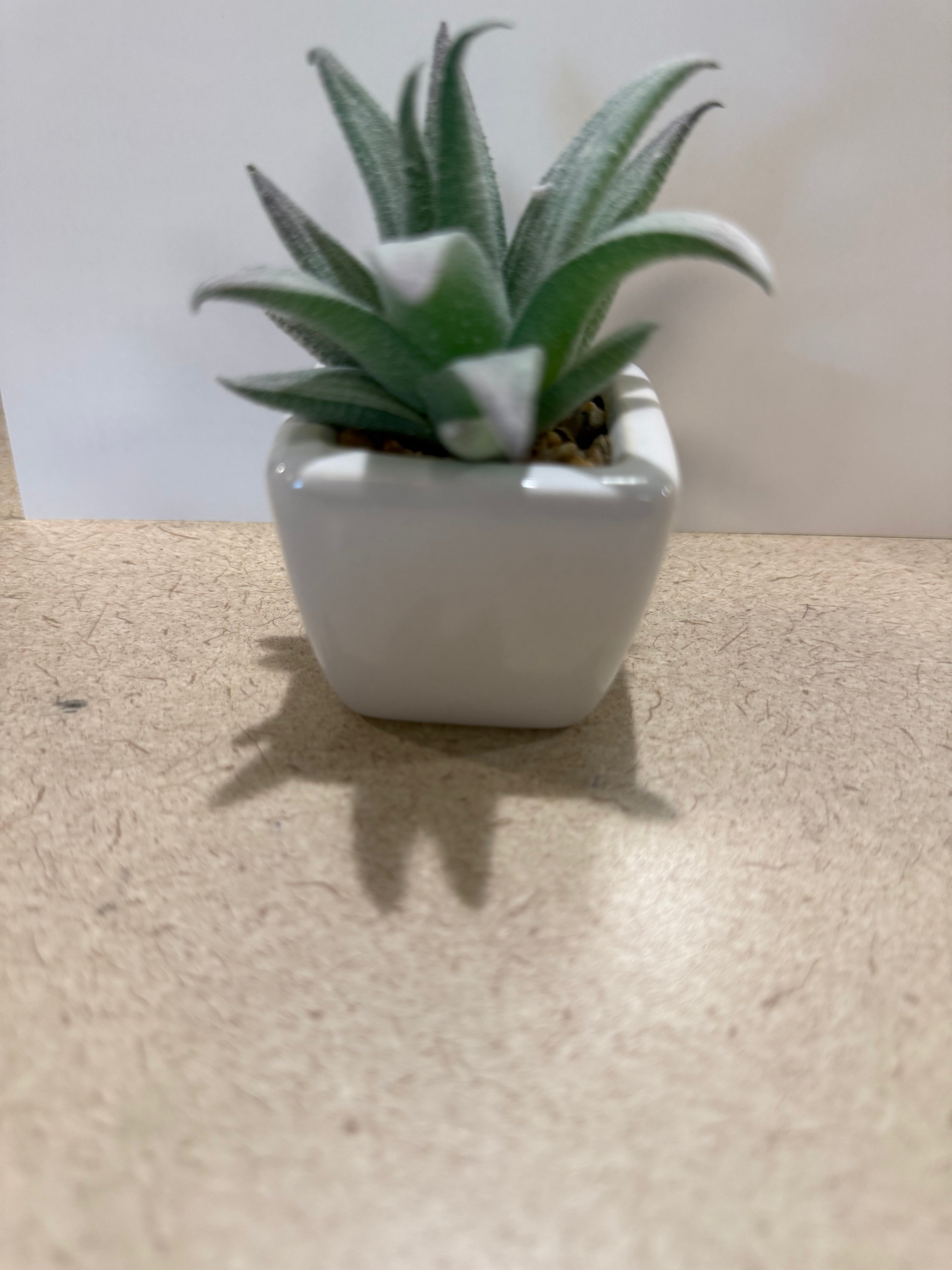 Small artificial plants